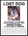 Click thumbnail to view or download printable flyer
