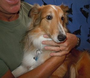 Teddy back home Feb 6, 2012